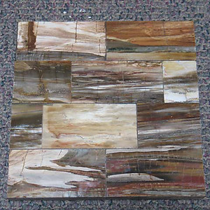 Petrified Wood Tile - longitudinal Cut (50 x 50 cm)