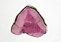 Liddicoatite Tourmaline Slice 113