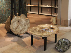 Large Petrified Wood Slices > 60cm (23”) 27kg/pc (59.5LB/pc) Class