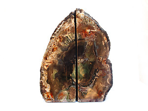 Petrified Wood Bookends (1-3Kg) - AAA