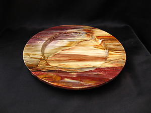 Petrified Wood Plate 8.5 inch - 0.83Kg