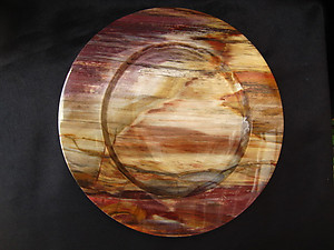 Petrified Wood Plate 8.5 inch - 0.83Kg