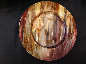 Petrified Wood Plate 8.5 inch - 0.90Kg