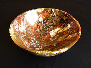 Petrified Wood Bowl 8.5 inch - 1.53Kg