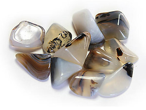 18-30 mm Dendritic Agate Tumbled Stones