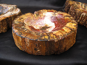 Petrified Wood Candy Dish (2-3Kg/Pc) - 5pcs