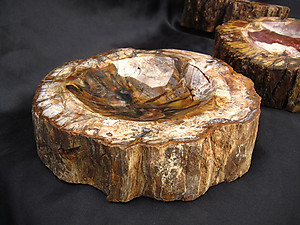 Petrified Wood Candy Dish (2-3Kg/Pc)